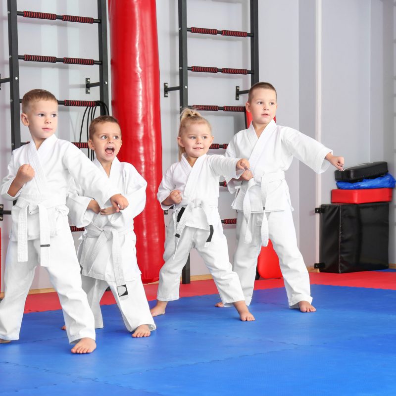 Little,Children,Practicing,Karate,In,Dojo